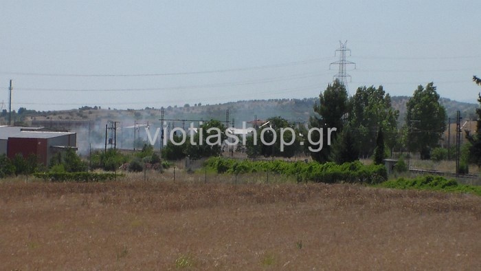 Μικρής έκτασης φωτιά στη Θήβα (pics)