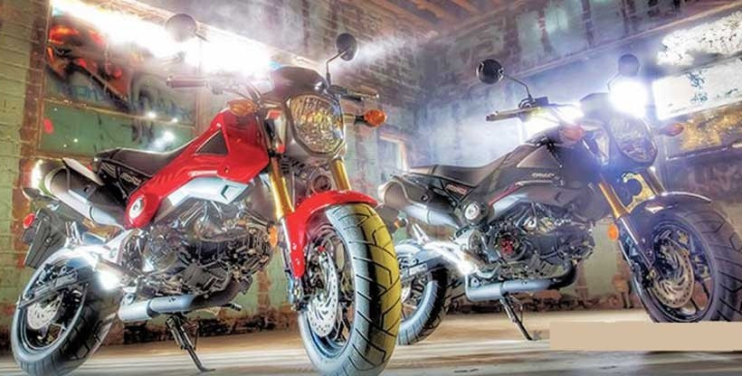 HONDA MSX 125 MINI BIKE