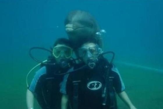 Απρόσκλητοι εισβολείς σε...αναμνηστικές φωτογραφίες (pics)