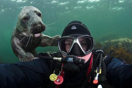 Απρόσκλητοι εισβολείς σε...αναμνηστικές φωτογραφίες (pics)