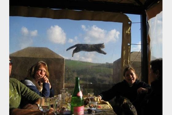 Απρόσκλητοι εισβολείς σε...αναμνηστικές φωτογραφίες (pics)