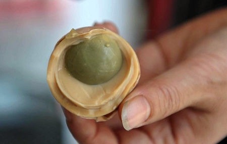 Τα πιο αηδιαστικά αλλά και υγιεινά φαγητά του κόσμου