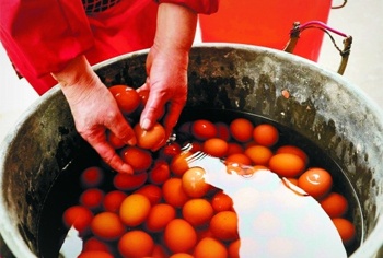 Τα πιο αηδιαστικά αλλά και υγιεινά φαγητά του κόσμου