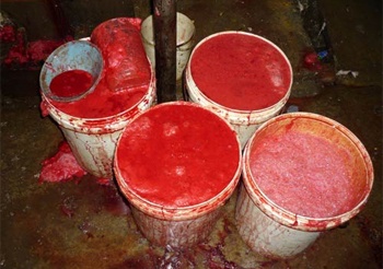 Τα πιο αηδιαστικά αλλά και υγιεινά φαγητά του κόσμου