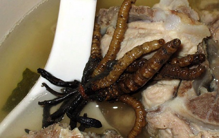 Τα πιο αηδιαστικά αλλά και υγιεινά φαγητά του κόσμου