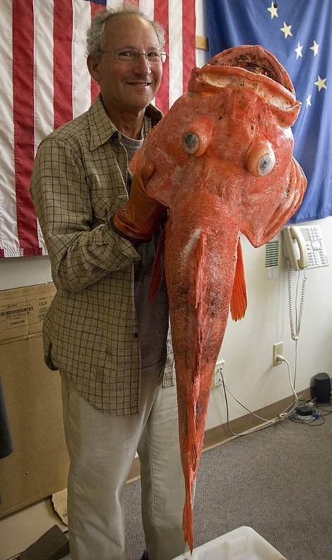 Έπιασε ψάρι 200 ετών (pics)