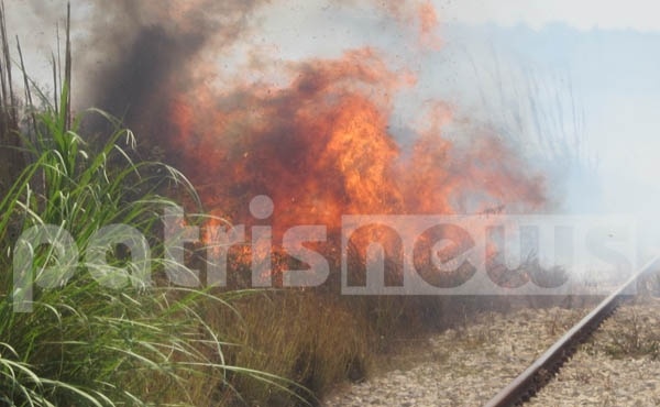 Πύργος: Διπλό πύρινο μέτωπο απειλεί σπίτια 