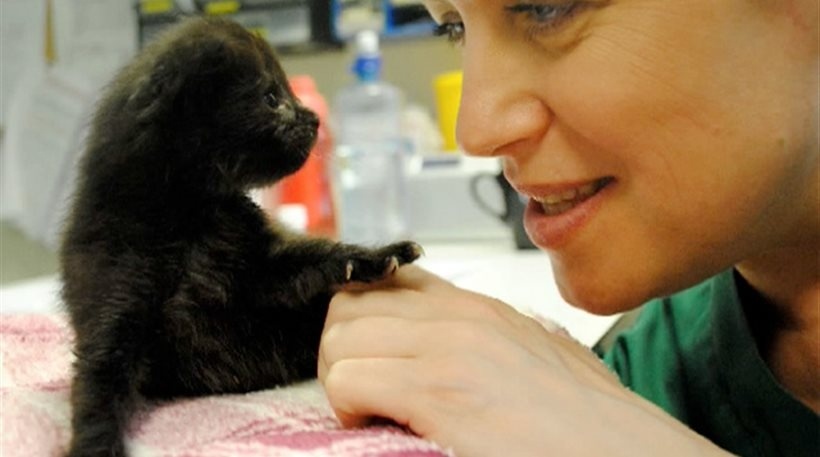 Δε θα πιστεύετε τι βρήκαν στο μετρό του Λονδίνου (pic)