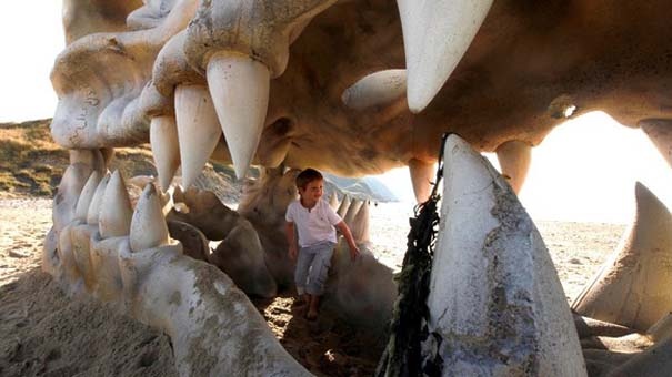 Γιγάντιο κρανίο δράκου σε παραλία της Αγγλίας (pics)