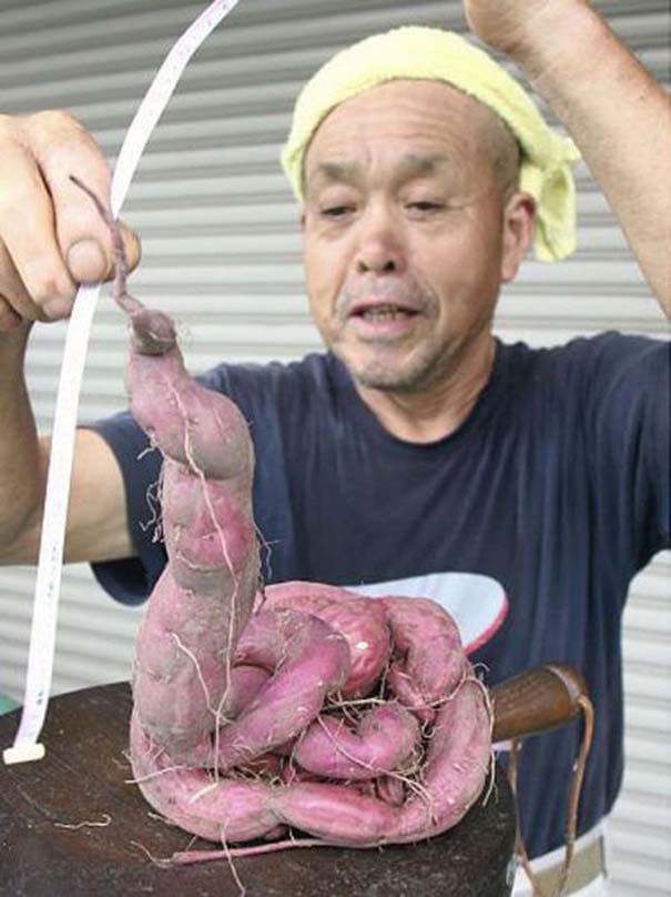 Μεταλλαγμένα προϊόντα από την Φουκουσίμα (pics)