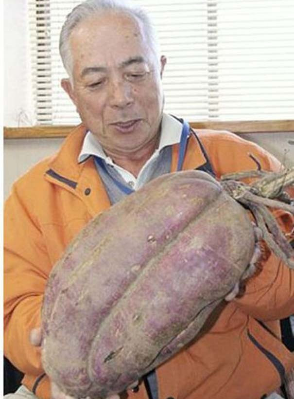 Μεταλλαγμένα προϊόντα από την Φουκουσίμα (pics)