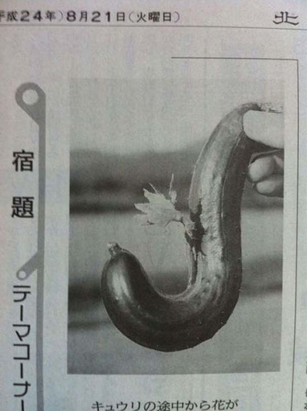 Μεταλλαγμένα προϊόντα από την Φουκουσίμα (pics)