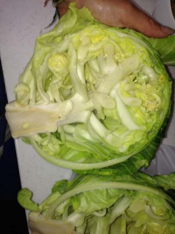 Μεταλλαγμένα προϊόντα από την Φουκουσίμα (pics)