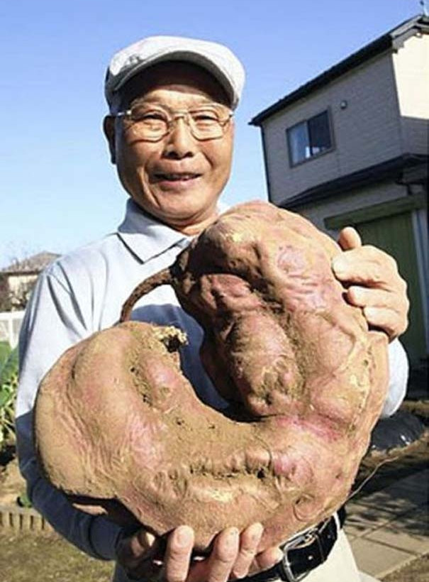 Μεταλλαγμένα προϊόντα από την Φουκουσίμα (pics)