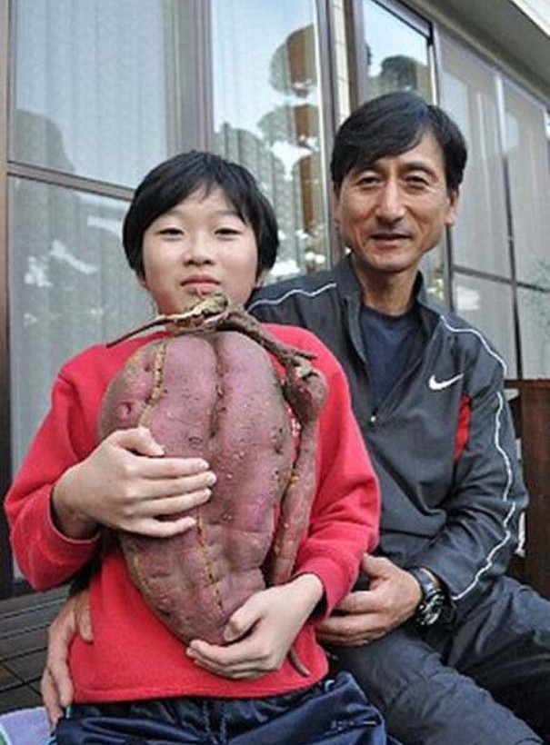 Μεταλλαγμένα προϊόντα από την Φουκουσίμα (pics)