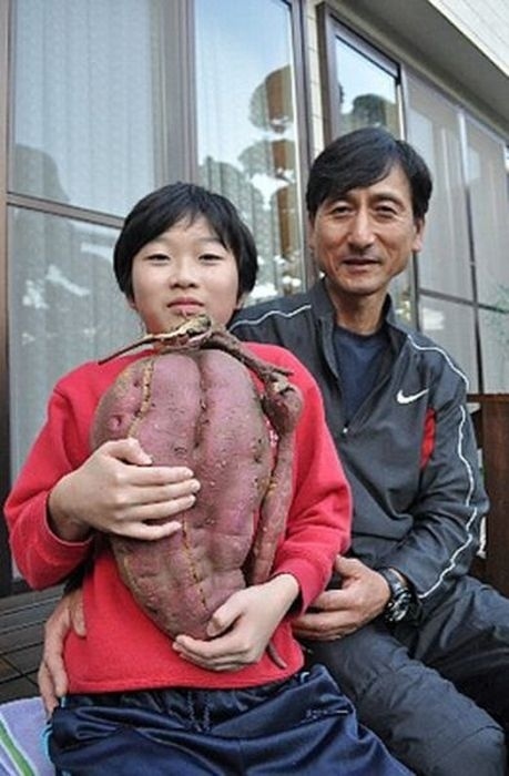 Δείτε συγκλονιστικές μεταλλάξεις από τη Φουκουσίμα