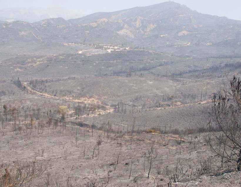 Εικόνες θλίψης από τον πύρινο εφιάλτη στη Ρόδο (ΦΩΤΟΡΕΠΟΡΤΑΖ)