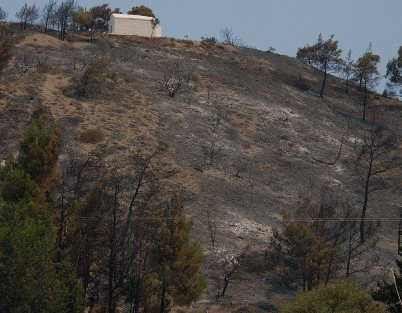 Εικόνες θλίψης από τον πύρινο εφιάλτη στη Ρόδο (ΦΩΤΟΡΕΠΟΡΤΑΖ)