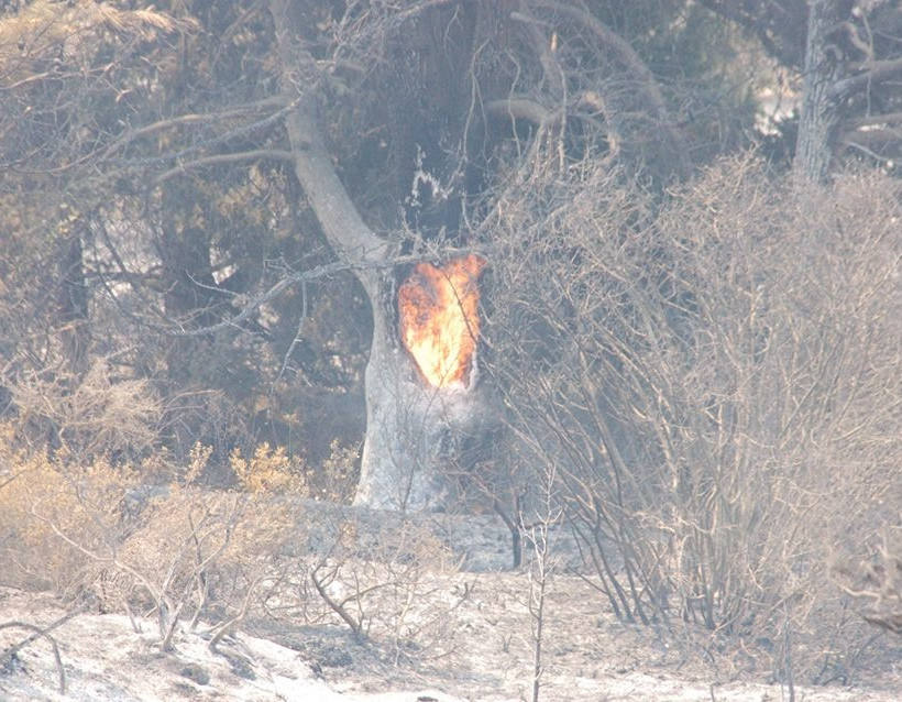 Εικόνες θλίψης από τον πύρινο εφιάλτη στη Ρόδο (ΦΩΤΟΡΕΠΟΡΤΑΖ)