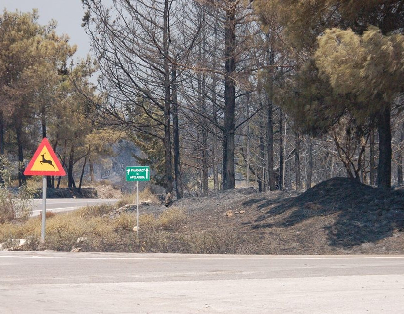 Εικόνες θλίψης από τον πύρινο εφιάλτη στη Ρόδο (ΦΩΤΟΡΕΠΟΡΤΑΖ)