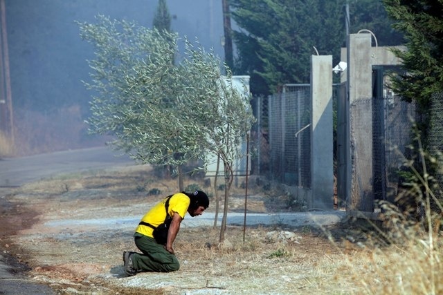 Κρανίου τόπος το Μαρκόπουλο – Εικόνες θλίψης από την πύρινη λαίλαπα