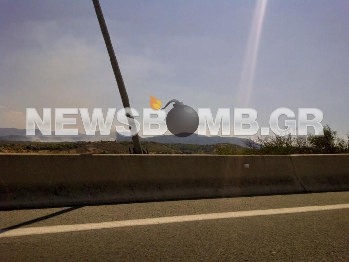 Φωτιά σε δασική έκταση στον Κάβο Ισθμίων (Pics)