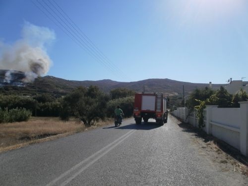 Πύρινο μέτωπο και στη Νάξο (pics+vid)