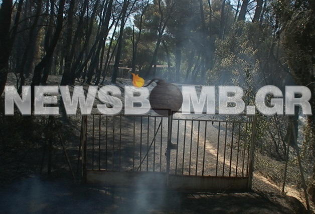 Οδοιπορικό στην καμένη Βαρυμπόμπη (pics-vid)