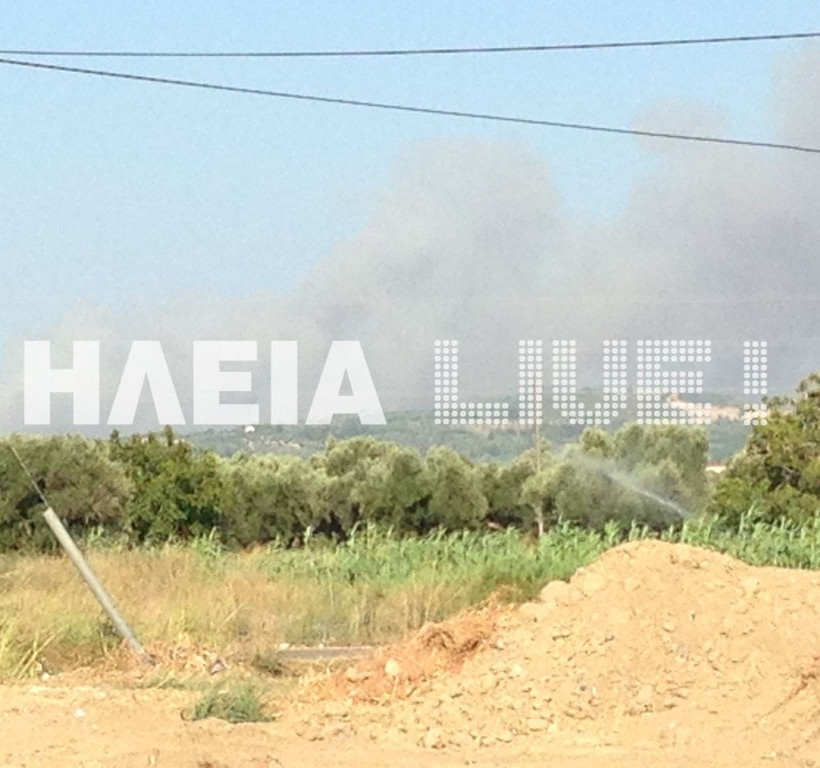 Ορατή από τον Πύργο η φωτιά στο Γεράκι Αμαλιάδας (pics)