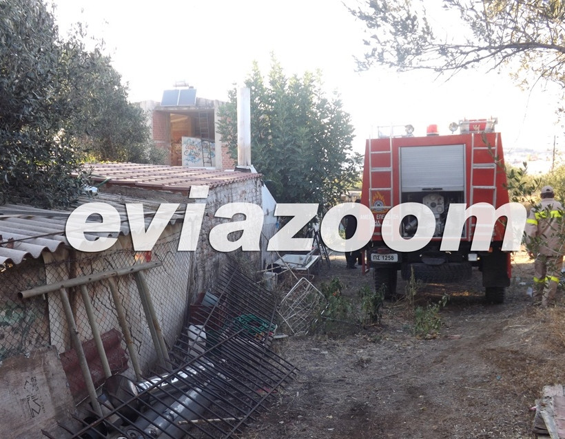 Εύβοια: Πυρκαγιά στους Αγίους Αναργύρους (pics-vid)