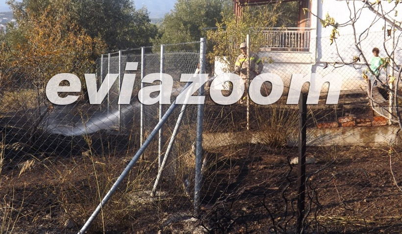 Εύβοια: Πυρκαγιά στους Αγίους Αναργύρους (pics-vid)