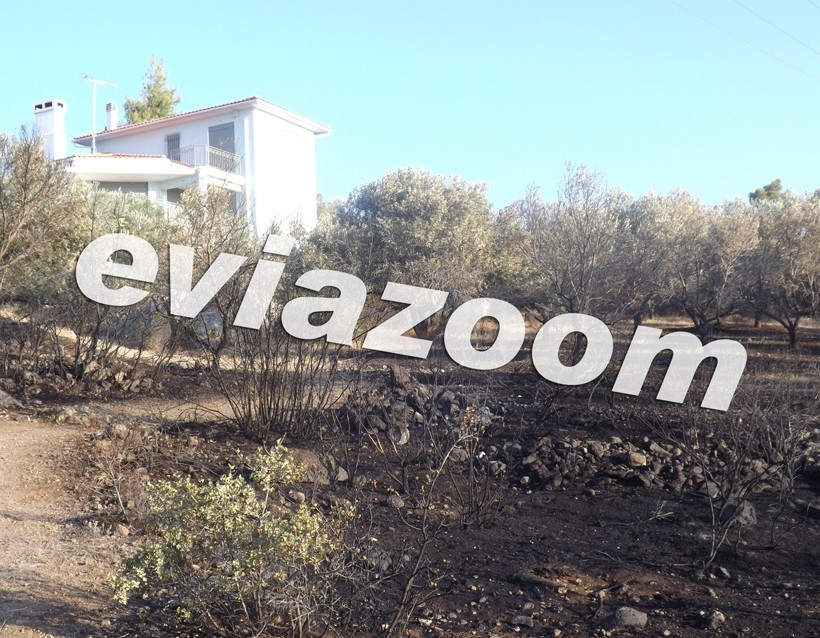 Εύβοια: Πυρκαγιά στους Αγίους Αναργύρους (pics-vid)