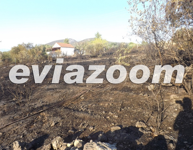 Εύβοια: Πυρκαγιά στους Αγίους Αναργύρους (pics-vid)