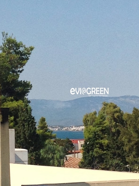 Φωτιά και στα Ψαχνά Ευβοίας! (pics)