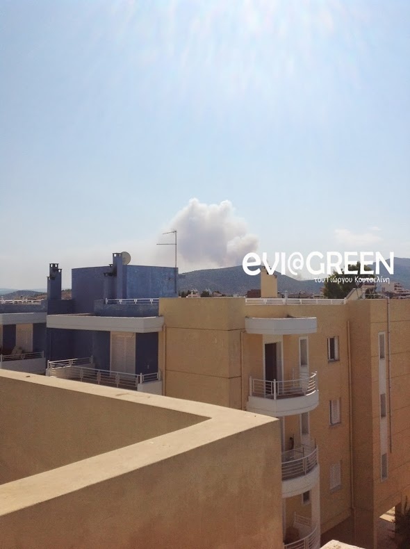 Φωτιά και στα Ψαχνά Ευβοίας! (pics)