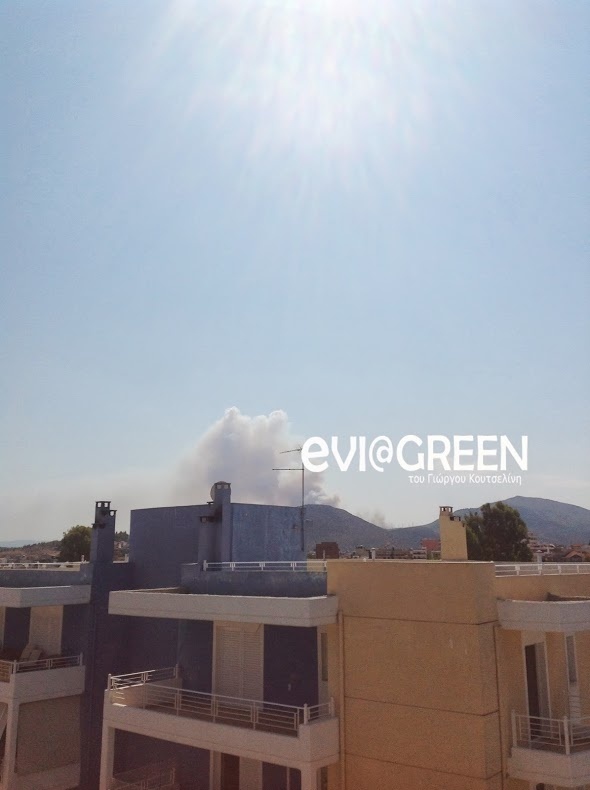 Φωτιά και στα Ψαχνά Ευβοίας! (pics)