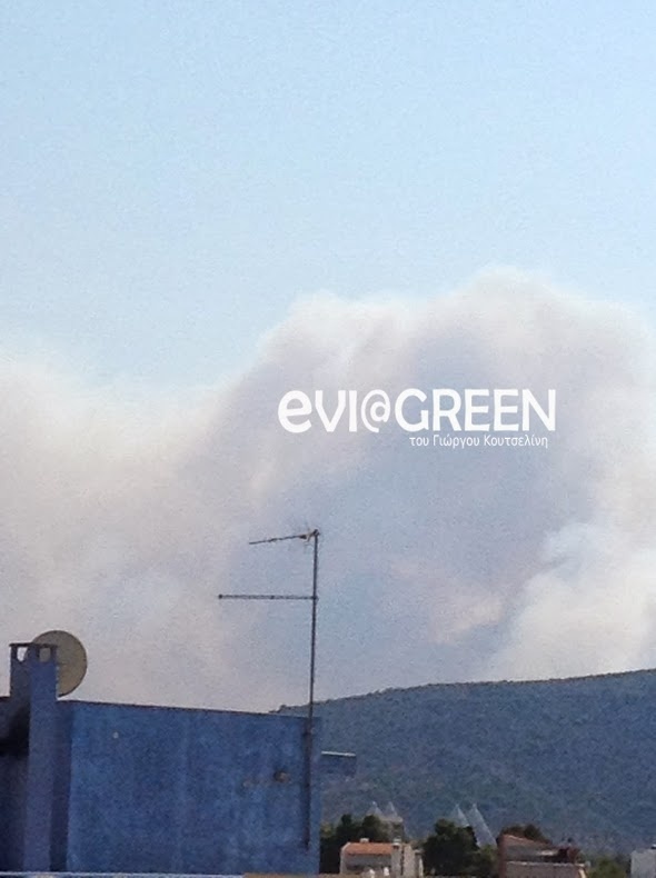 Φωτιά και στα Ψαχνά Ευβοίας! (pics)