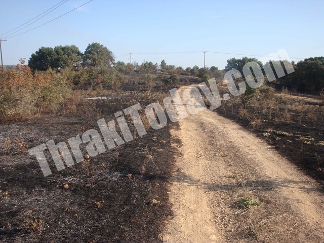 Πυρκαγιά στη Γκιώνα Ξάνθης (pics-vid)