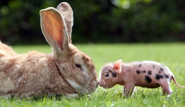 Ακόμα μία ξεχωριστή φιλία! 