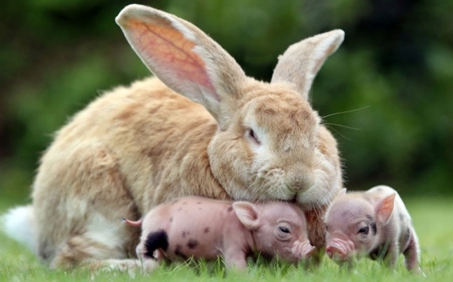 Ακόμα μία ξεχωριστή φιλία! 