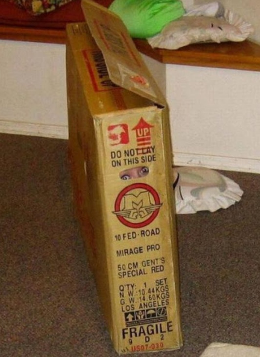 ΤΕΣΤ ΠΑΡΑΤΗΡΗΤΙΚΟΤΗΤΑΣ: Μπορείτε να εντοπίσετε το παιδί; 