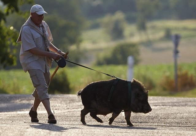 Παράξενα κατοικίδια…