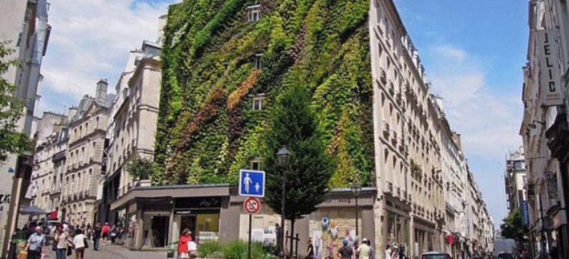 Καλλιτέχνης φύτεψε κήπο σε τοίχο του Παρισιού (pics)