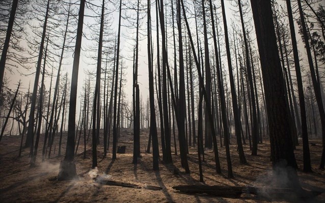 ΗΠΑ: Ο απολογισμός για το εθνικό πάρκο Γιοσέμιτι