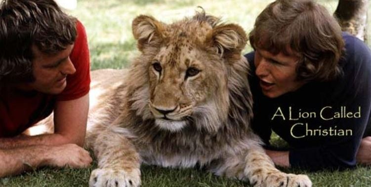 Το βίντεο που έκανε πάνω από 50.000.000 ανθρώπους να δακρύσουν!