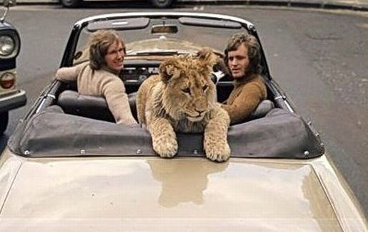 Το βίντεο που έκανε πάνω από 50.000.000 ανθρώπους να δακρύσουν!