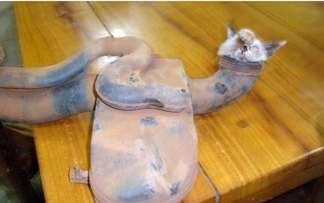 Απίστευτο: Δείτε γιατί δεν «τραβούσε» το αυτοκίνητό του!