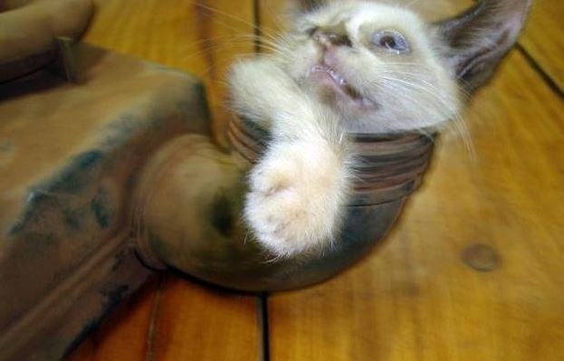 Απίστευτο: Δείτε γιατί δεν «τραβούσε» το αυτοκίνητό του!