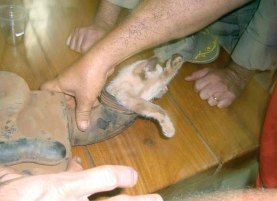 Απίστευτο: Δείτε γιατί δεν «τραβούσε» το αυτοκίνητό του!