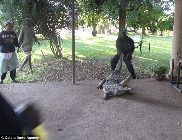 Απόλυτος τρόμος: Πάγωσε όταν βρήκε κάτω από το κρεββάτι του...